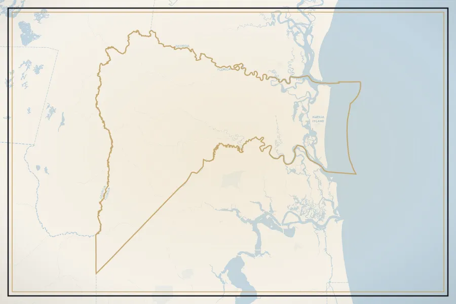 Satellite view of Nassau County, Florida, with every home photographed by Megapixeler